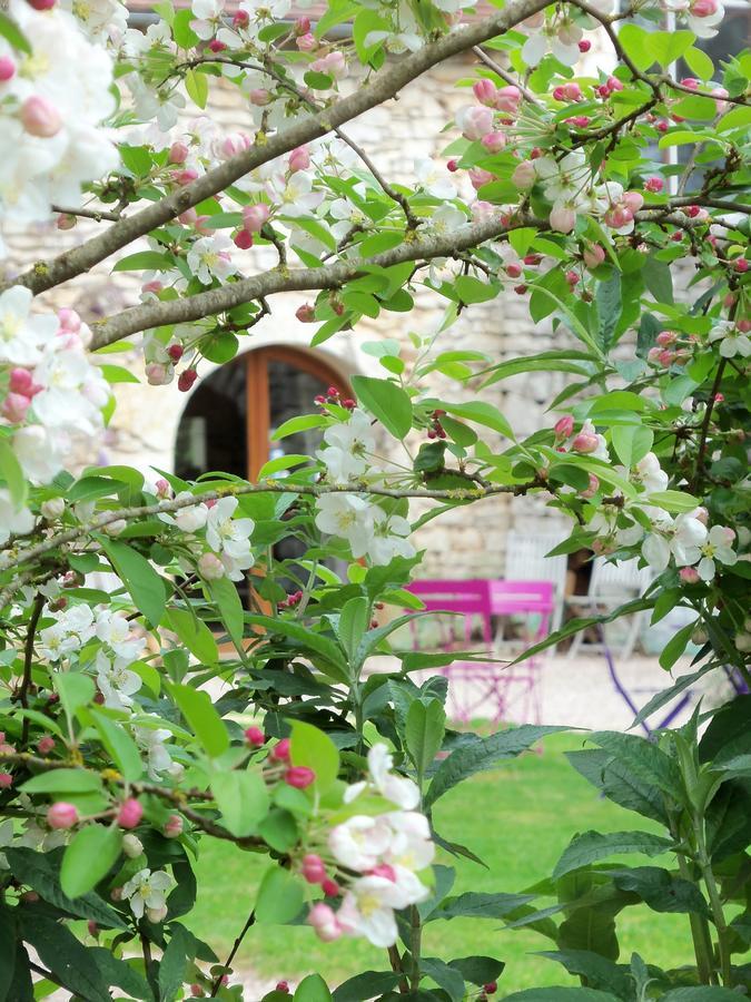 Chambres Et Jardin De Pierres Espédaillac エクステリア 写真